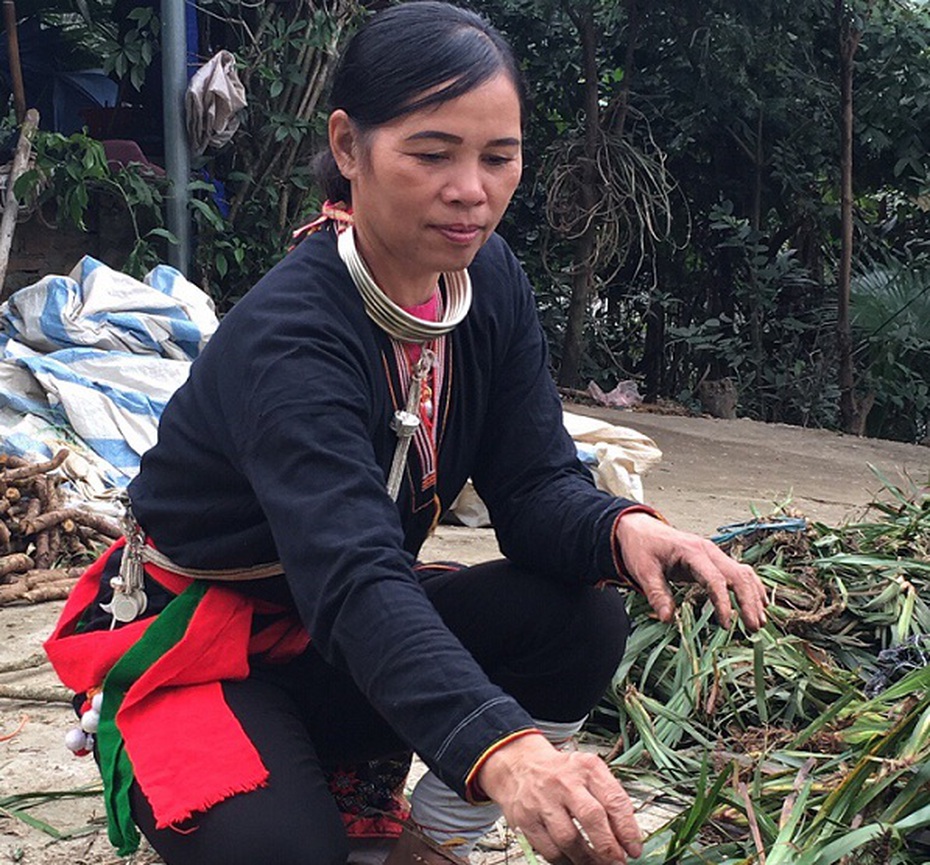 Lương y Triệu Thị Hòa – “Thần y” trị bệnh xương khớp