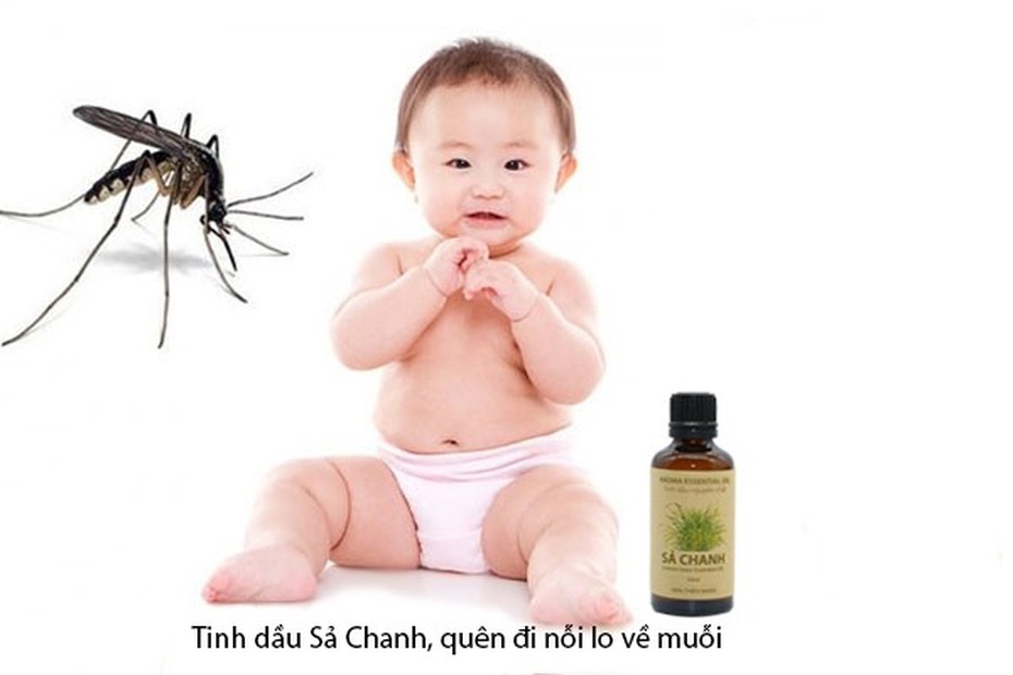 Những loại tinh dầu đuổi muỗi tốt nhất chống virut Zika