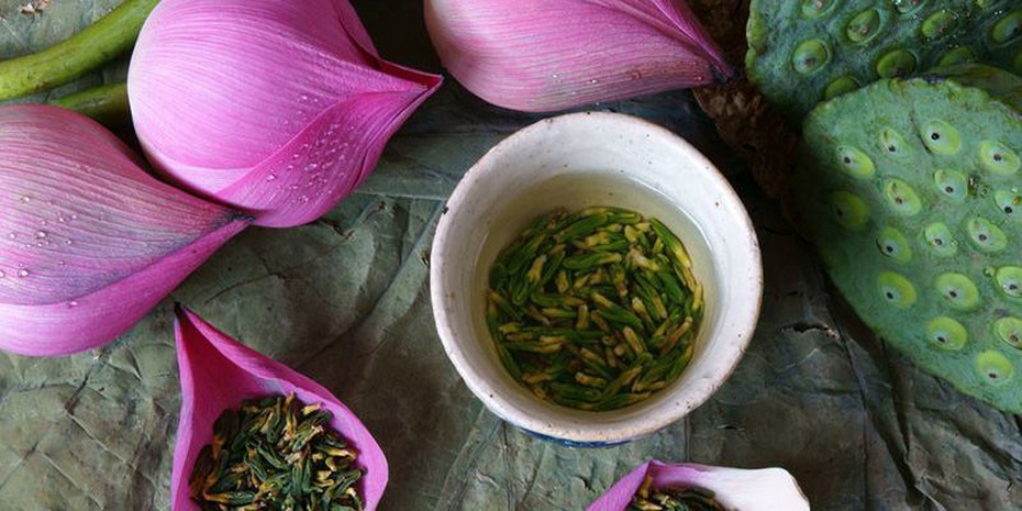 Tác dụng thần kỳ của tâm sen với giấc ngủ và sức khỏe