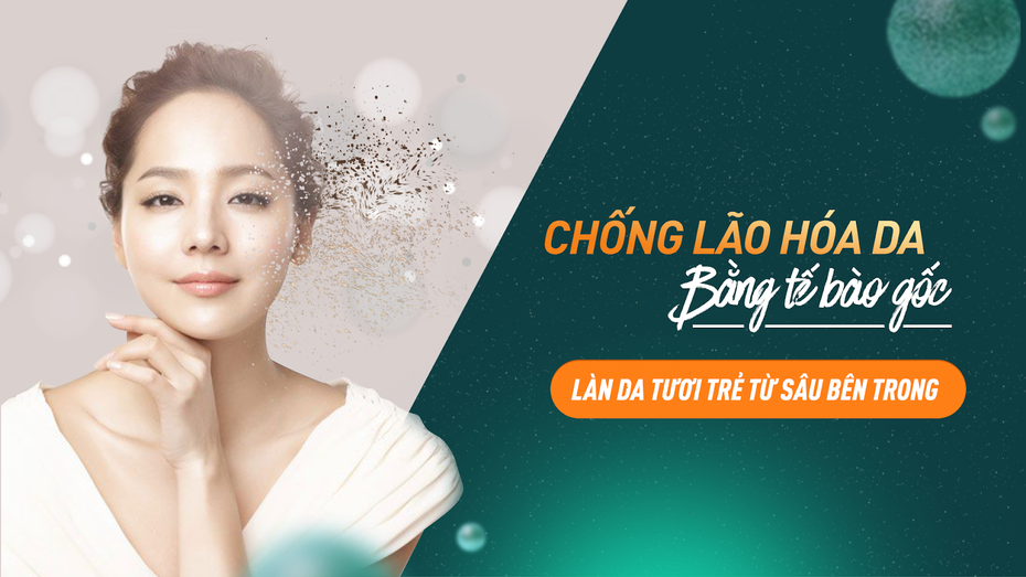 Chống lão hóa da bằng tế bào gốc - Làn da tươi trẻ từ sâu bên trong