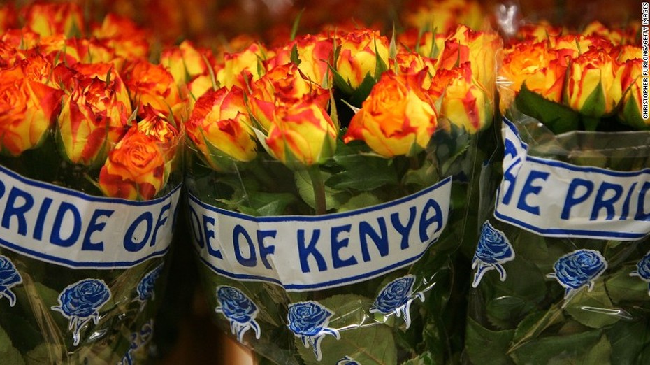 Nhu cầu hoa tại nhiều quốc gia tăng cao bất chấp tác động từ xung đột