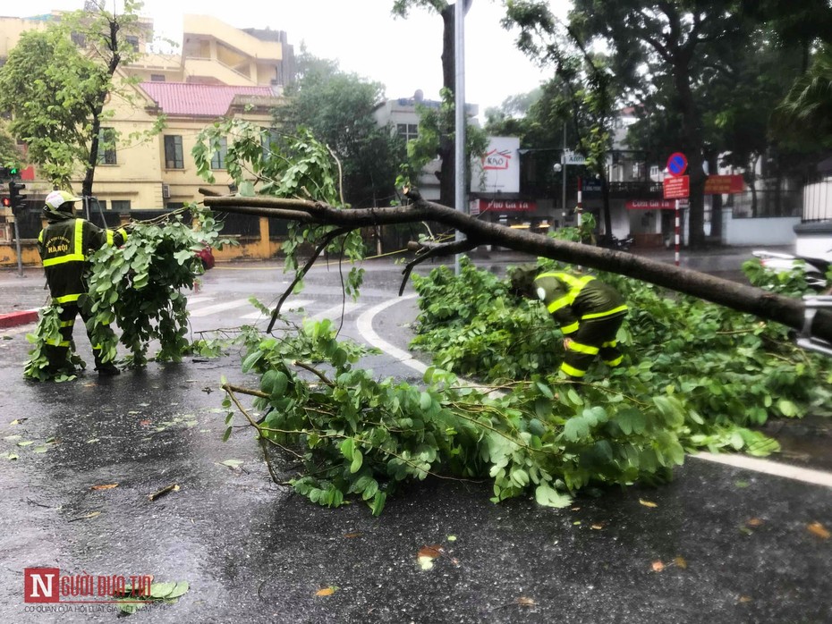 Hà Nội: Hàng loạt cây xanh, cột điện nghiêng đổ do bão số 3