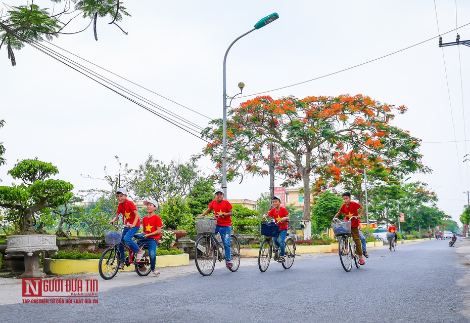 “Hoa học trò” nở rộ, đỏ rực phủ Thiên Trường