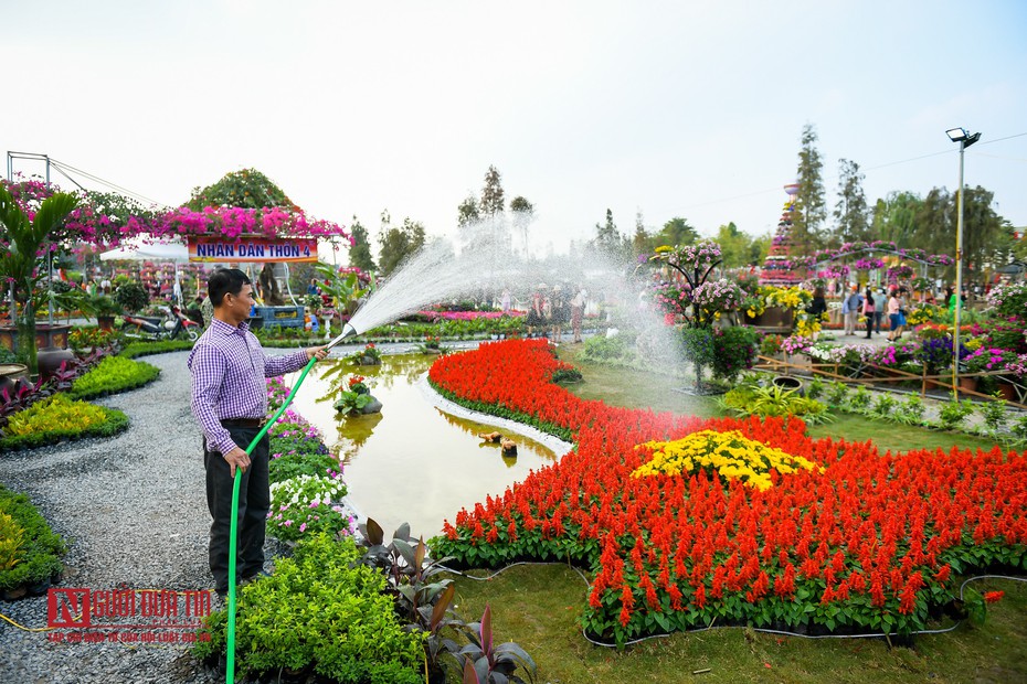 Độc đáo hàng nghìn chậu hoa kết thành bản đồ Việt Nam