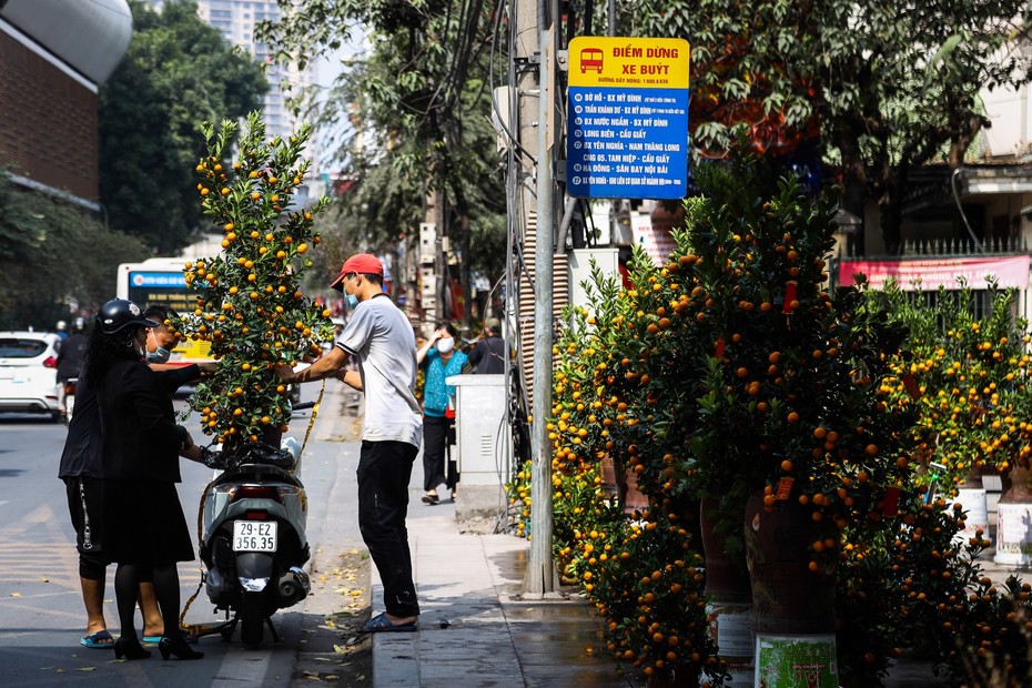 Đường sắt trên cao chậm tiến độ, thành chợ cây chơi Tết