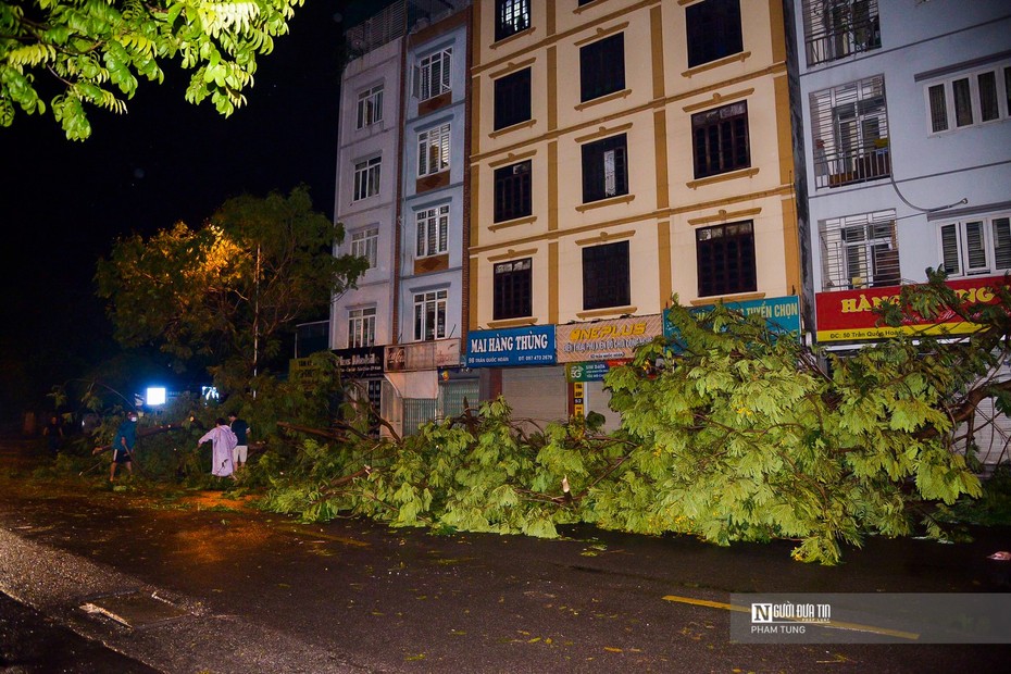 Hà Nội: Cây đổ la liệt sau mưa lớn