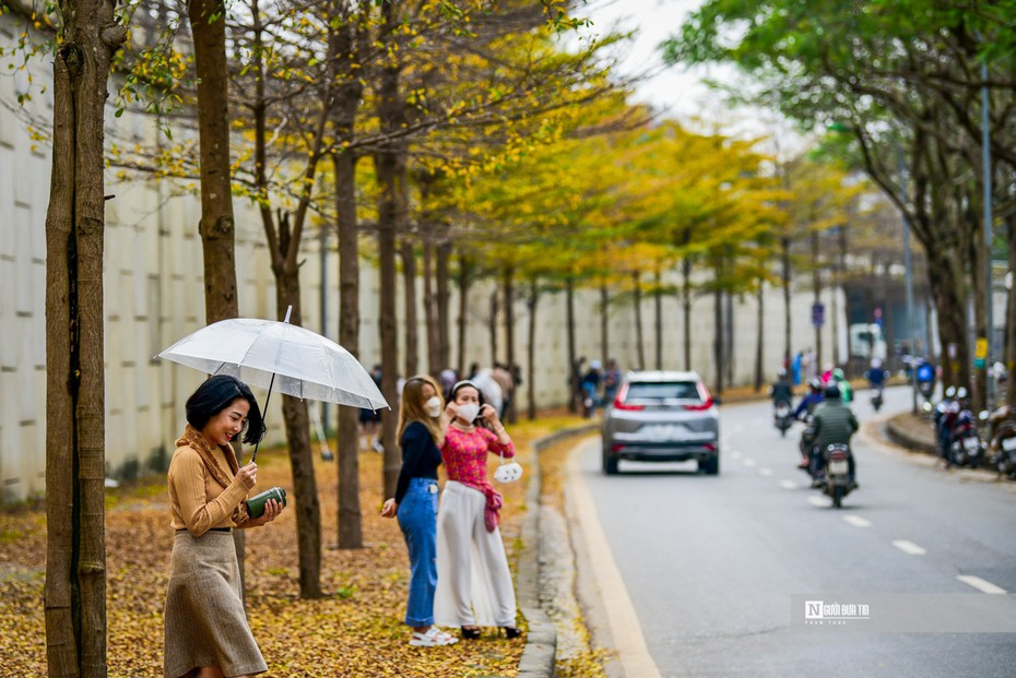 Hà Nội lãng mạn mùa thay lá