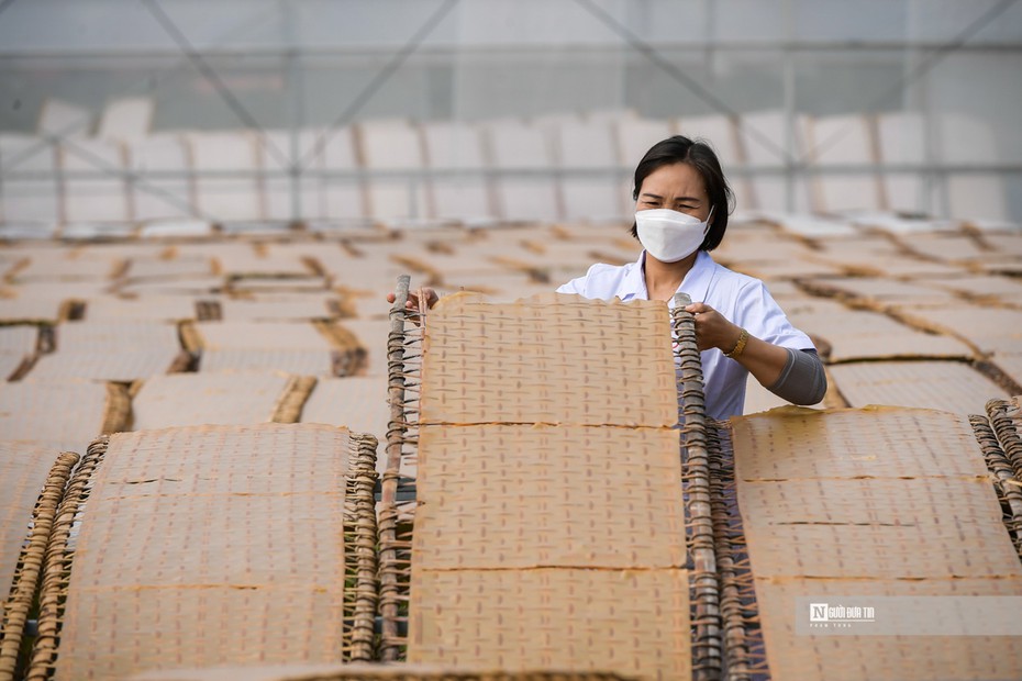 Bắc Giang: Cận cảnh sản xuất mỳ chũ Lục Ngạn từ gạo bao thai