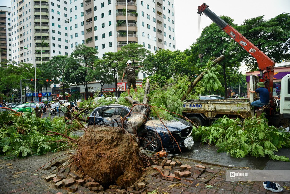 Hà Nội: Cây xanh bật gốc hàng loạt, đè bẹp ô tô sau mưa lớn