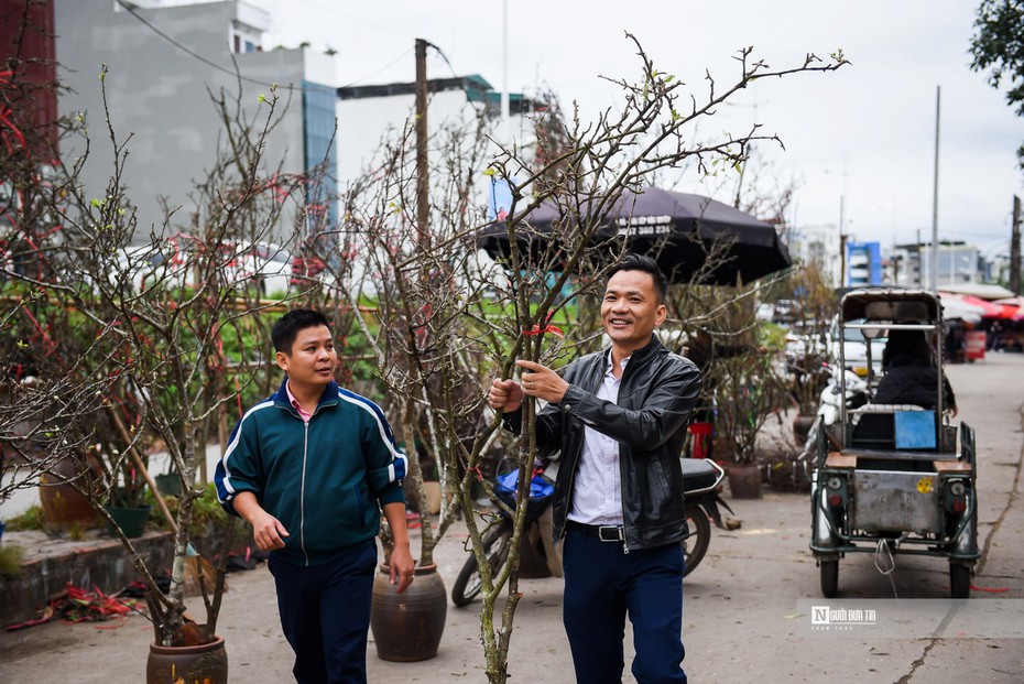 Hoa rừng xuống phố Hà Nội, giá cao vẫn hút khách sắm Tết sớm