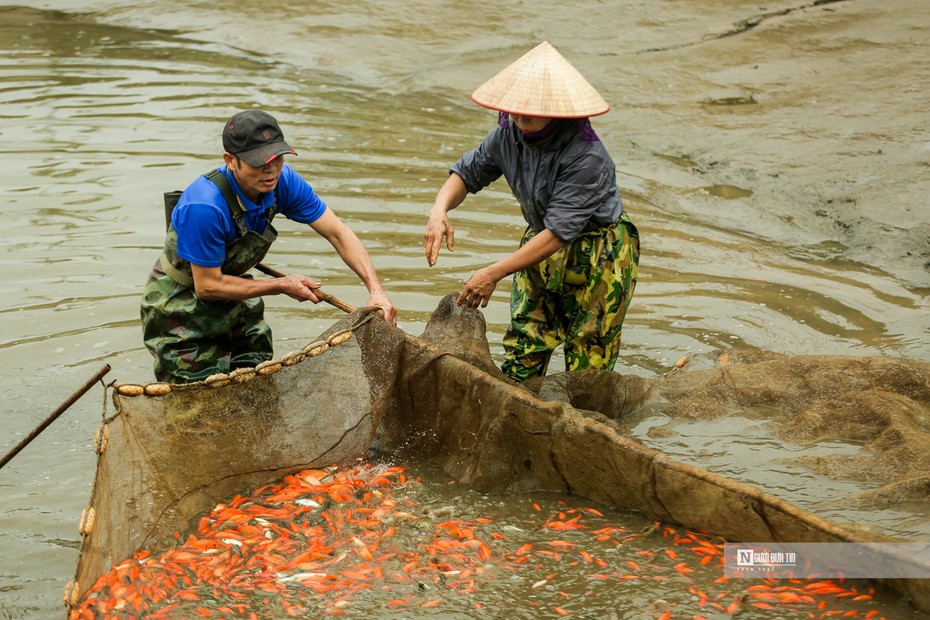 Làng cá Thủy Trầm nhộn nhịp phục vụ Tết ông Công ông Táo