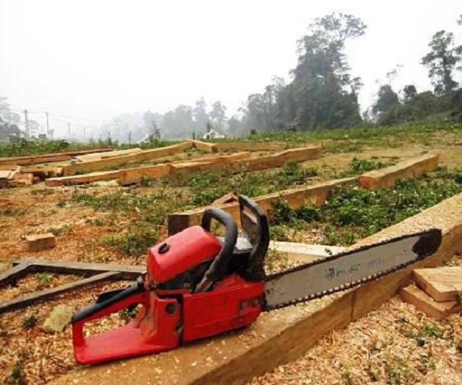 Nghệ An: Một người đàn ông bị nguy kịch vì lưỡi cưa xăng văng trúng cổ