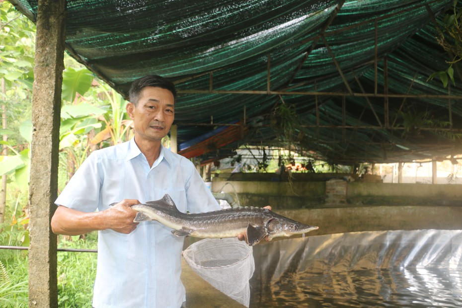 Thu tiền tỷ từ dòng suối nước lạnh dưới chân núi Pù Rinh