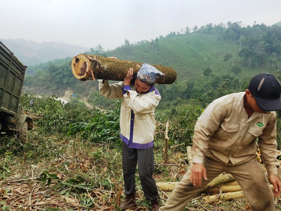 Phận đời nữ “phu keo”!