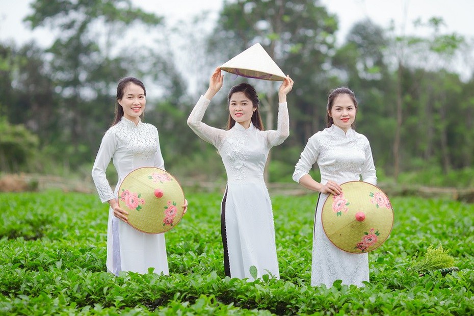 “Thiên đường chè Nam Trà” hút khách thăm quan, check-in