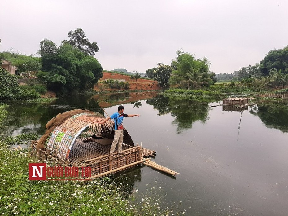 Thanh Hóa: Cá chết khi nước đập đổi màu xanh rêu, đen kịt