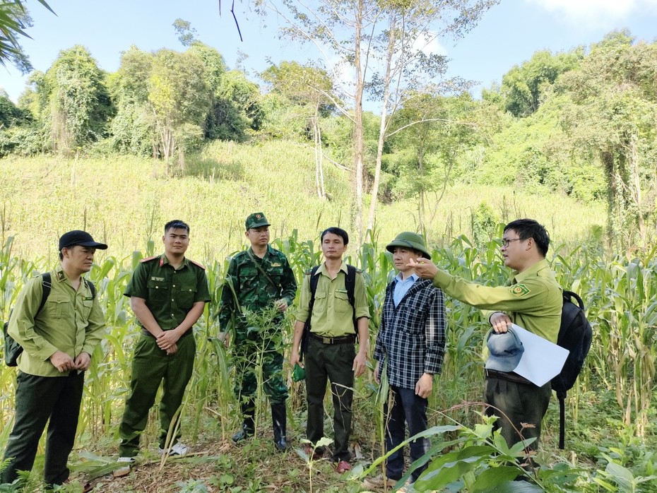 Kết quả kiểm tra thông tin 3,2ha rừng đặc dụng bị chặt phá