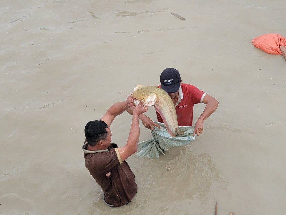 Hàng nghìn người dân tham gia lễ hội bắt cá ngày cận Tết