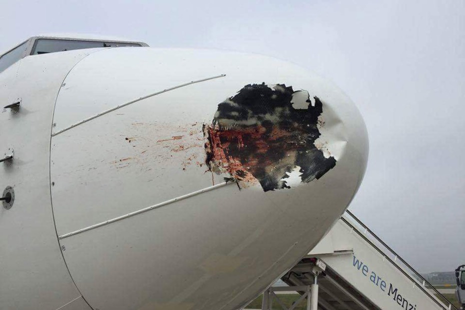 Nhiều vụ vi phạm an toàn hàng không tại Tân Sơn Nhất