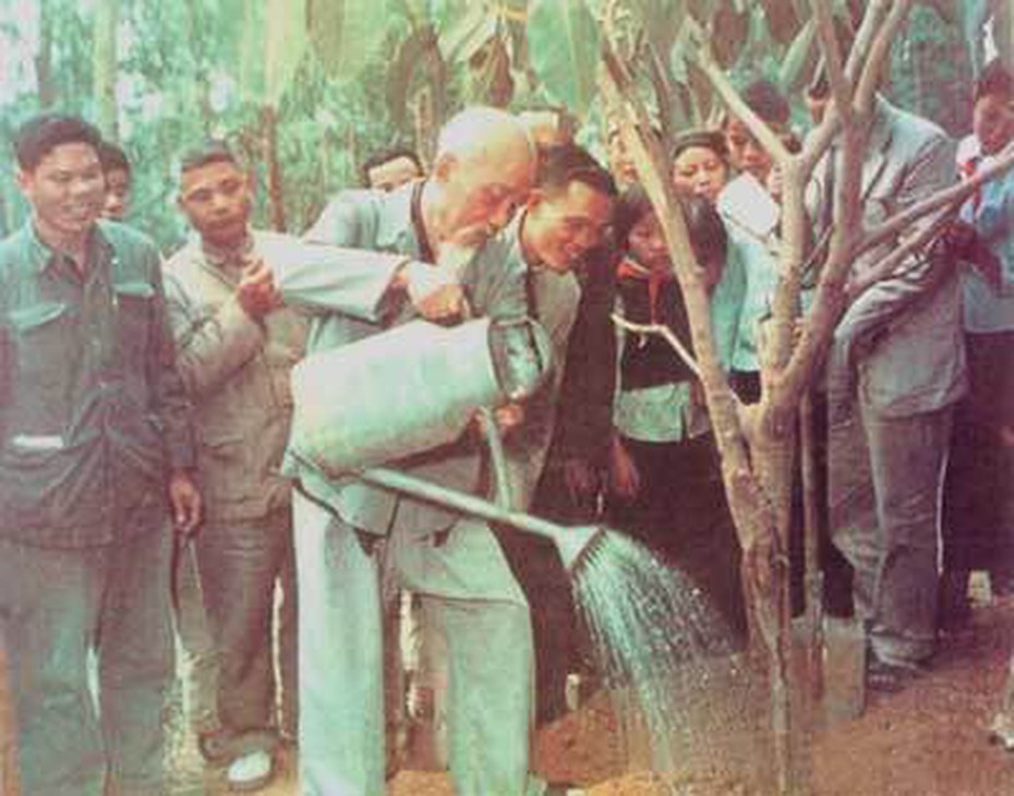 Chuyện cảm động ít biết về Bác Hồ khởi xướng Tết Trồng cây 60 năm về trước