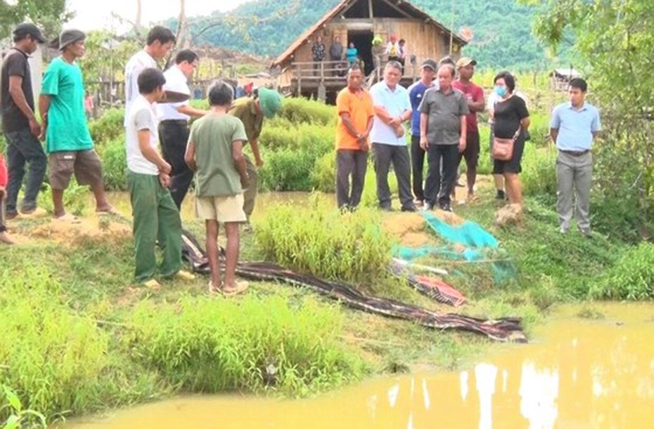 Tắm ao sâu trước nhà, 4 em nhỏ trong cùng một gia đình đuối nước tử vong