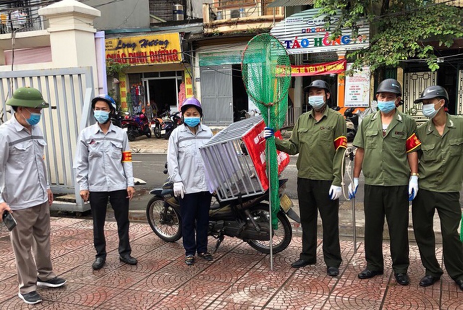 Hà Nội: Quận Ba Đình ra quân săn bắt chó thả rông