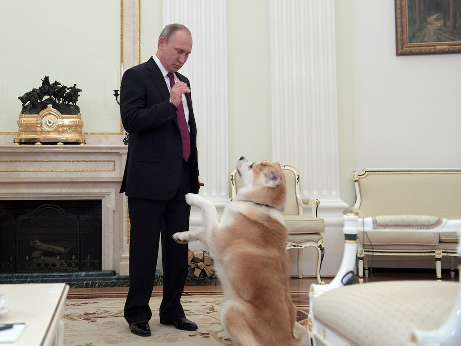 Tiết lộ bí mật thú vị về những chú chó của Tổng thống Nga Putin