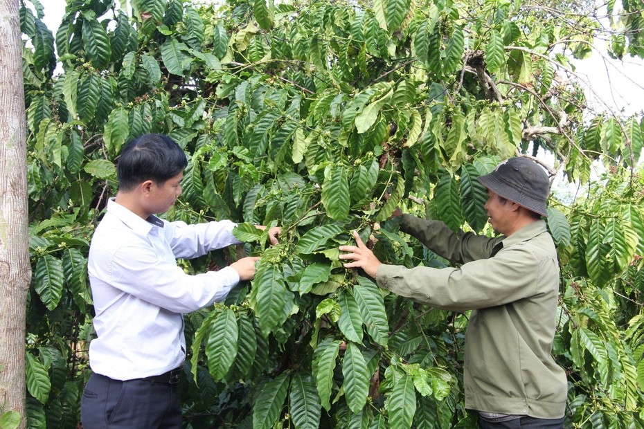 Đắk Lắk: Phát triển du lịch gắn với xây dựng nông thôn mới