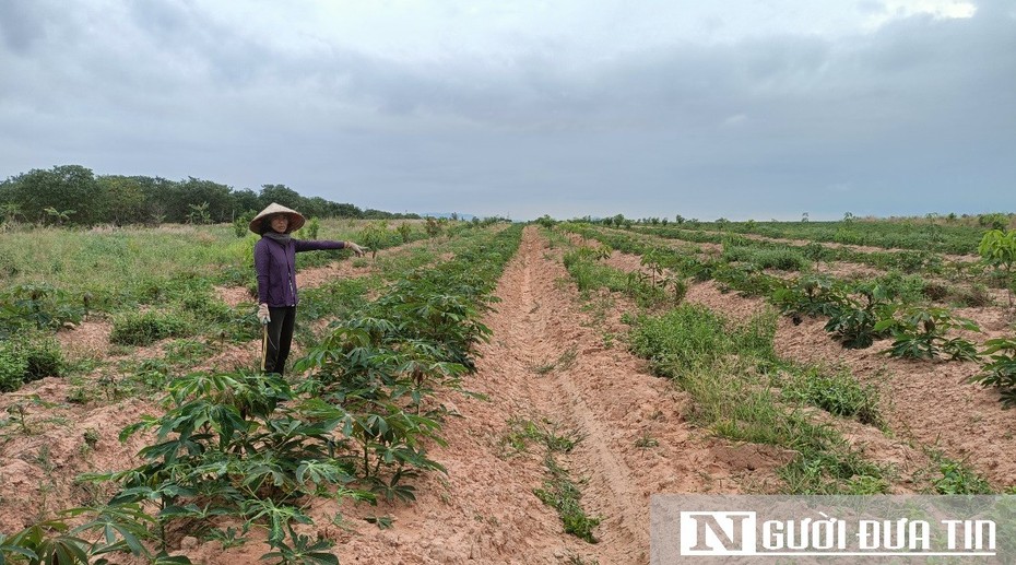 Hàng nghìn hộ dân thiếu nước tưới - Bài 3: Tìm lời giải cho bài toán "khát nước"