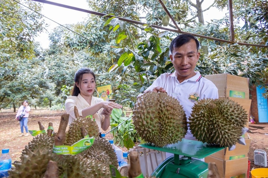 Lễ hội sầu riêng Krông Pắk lần thứ I thành công vượt mong đợi