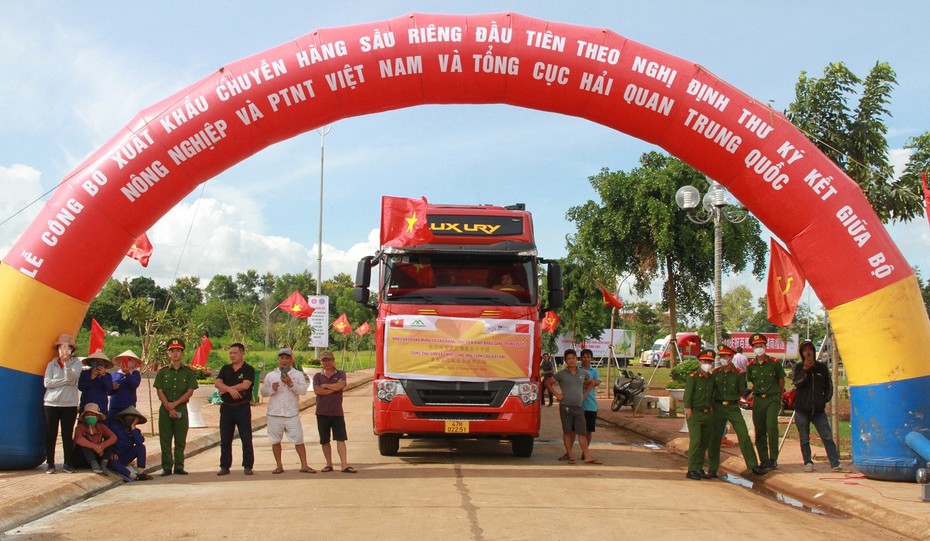 Xuất khẩu lô sầu riêng chính ngạch đầu tiên sang Trung Quốc