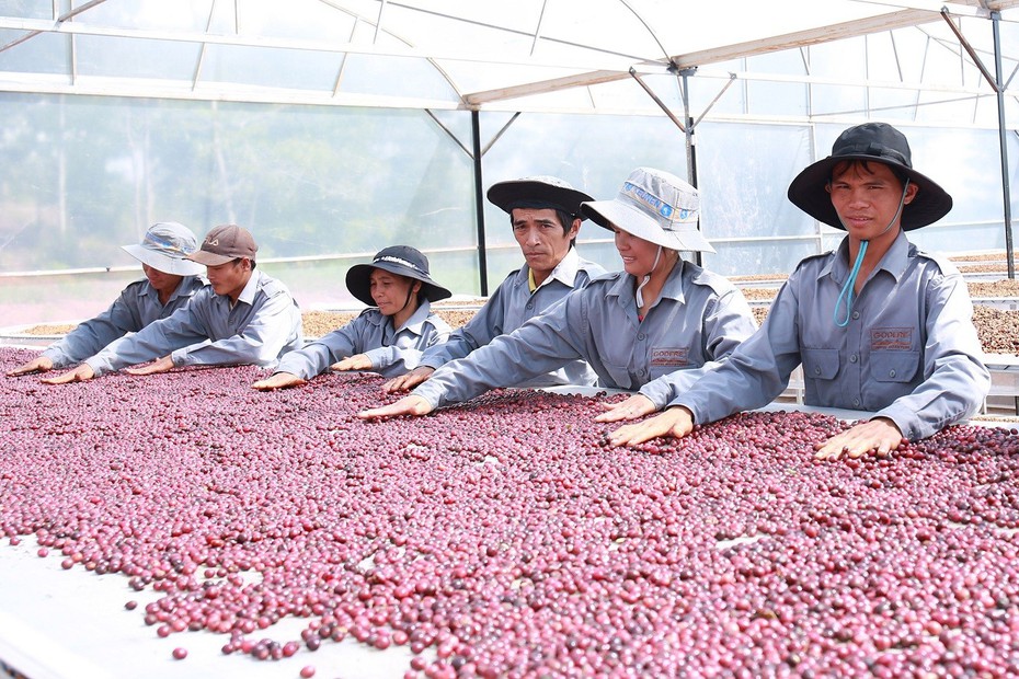 Tìm “lối đi riêng” cho phát triển nông nghiệp bền vững