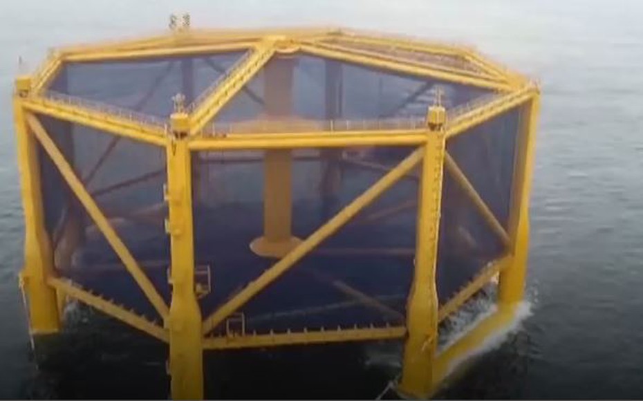 Video: Cận cảnh lồng nuôi cá hồi biển sâu lớn nhất thế giới