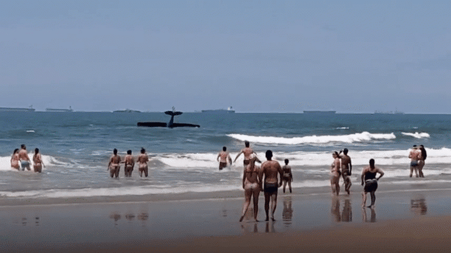 Video: Máy bay rơi xuống bãi biển có nhiều người đang tắm