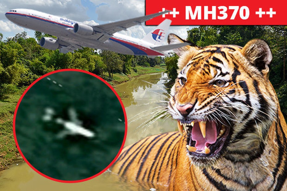 Hổ dữ chặn đường nhóm tìm kiếm MH370