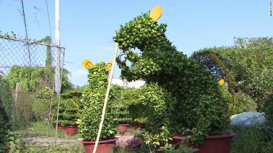Báo Mỹ ấn tượng với "quất cảnh hình chuột" chào mừng năm Canh Tý ở Việt Nam