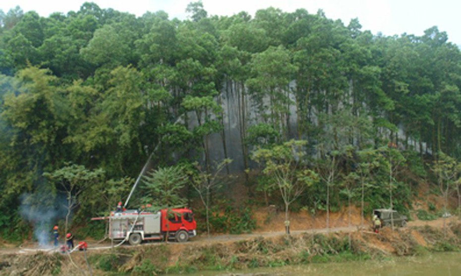 Chủ động phòng, chống cháy rừng mùa khô