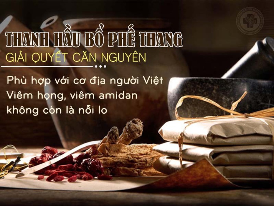 Bài thuốc Thanh hầu bổ phế thang trị viêm họng, viêm amidan phù hợp cơ địa người Việt