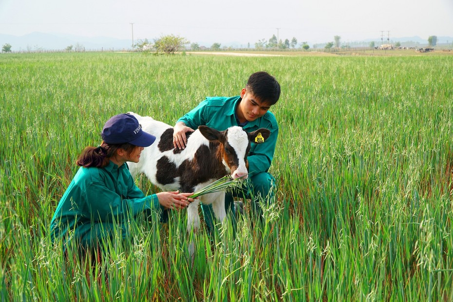 Đầu tư 120 triệu USD - Vinamilk họp tác xây dựng tổ hợp "Resort" bò sữa Organic tại Lào