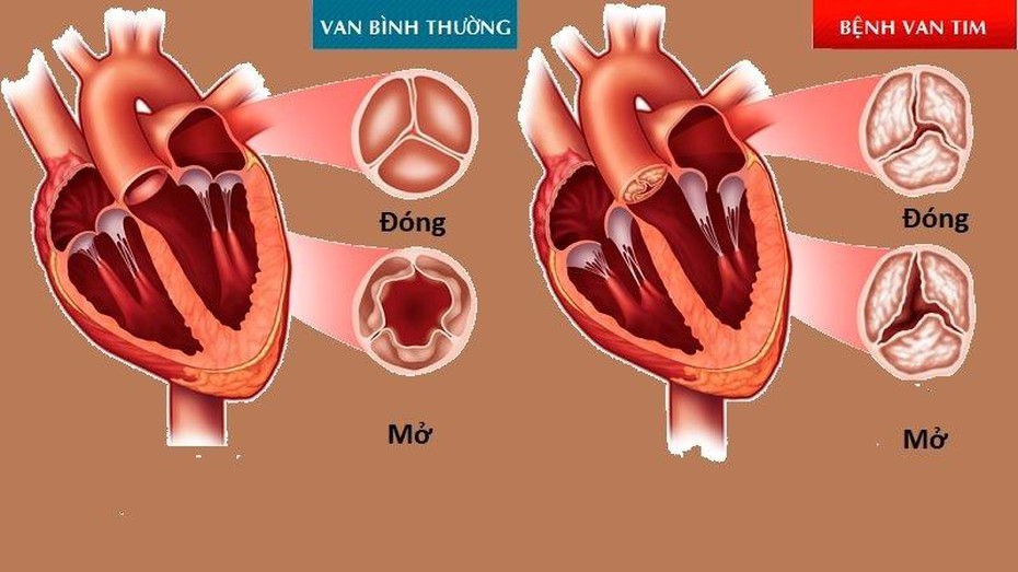 Tưng bừng hội xuân Vinhomes xuyên Tết