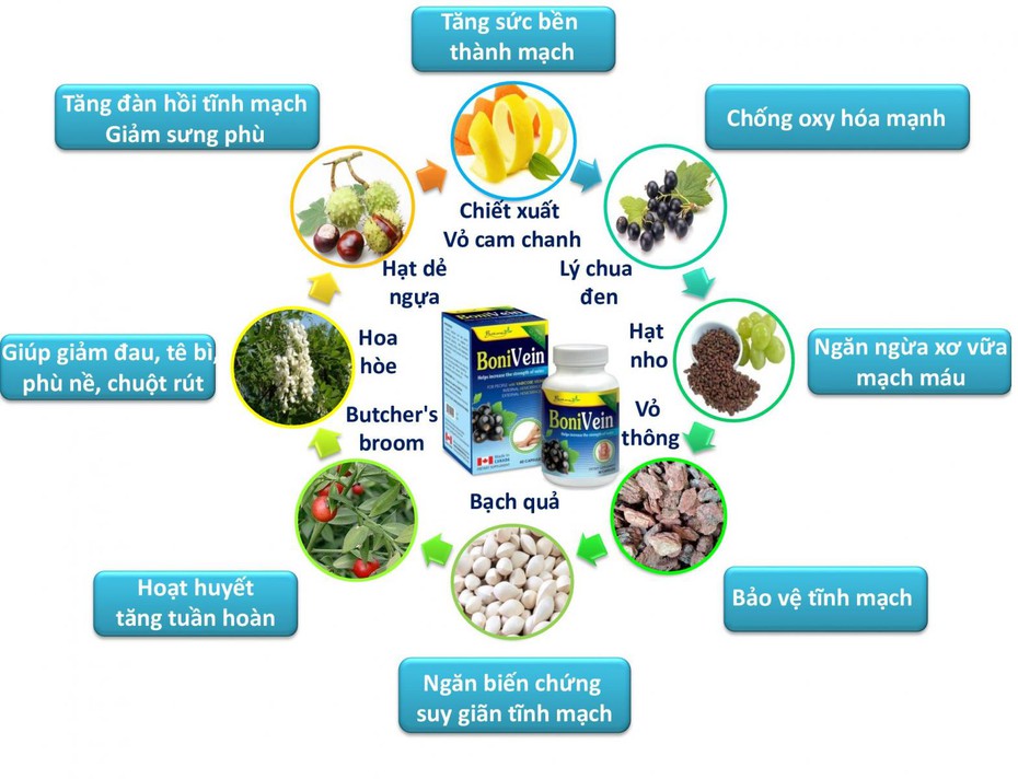 BoniVein – Bí quyết 2 trong 1 trị cả bệnh trĩ và suy giãn tĩnh mạch