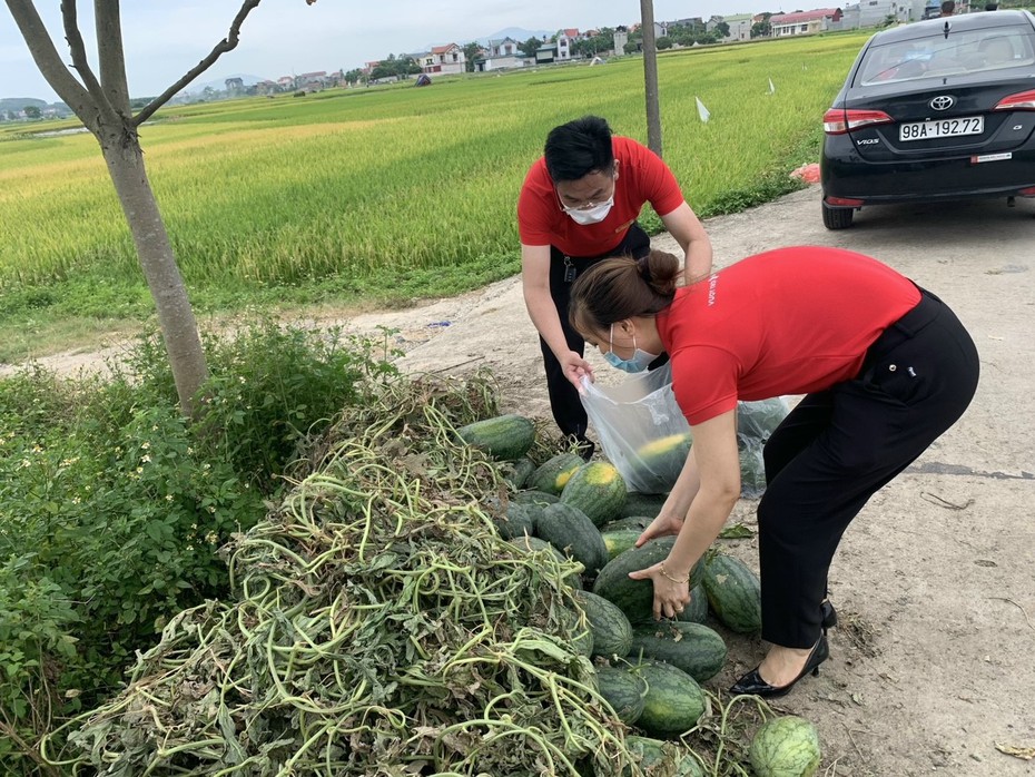 Sáng kiến giải cứu dưa hấu thành nước ép sinh tố bổ sung năng lượng cho “chiến sĩ áo trắng chống dịch covid” tại Bắc Giang