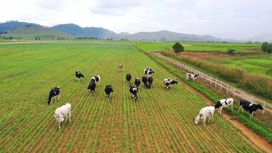 Siêu dự án trang trại của Vinamilk tại Lào sẽ “cho sữa” vào năm 2022