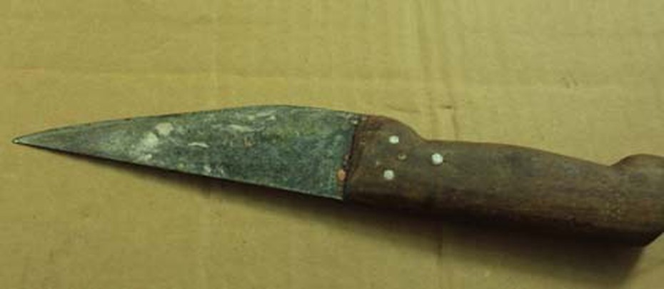 Chuyện rùng rợn quanh lời đồn 'báo oán' ở làng mổ trâu