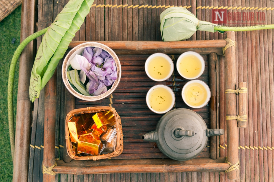 Bộ ảnh: Sen đầu mùa dịu dàng trong nắng vàng tinh khôi