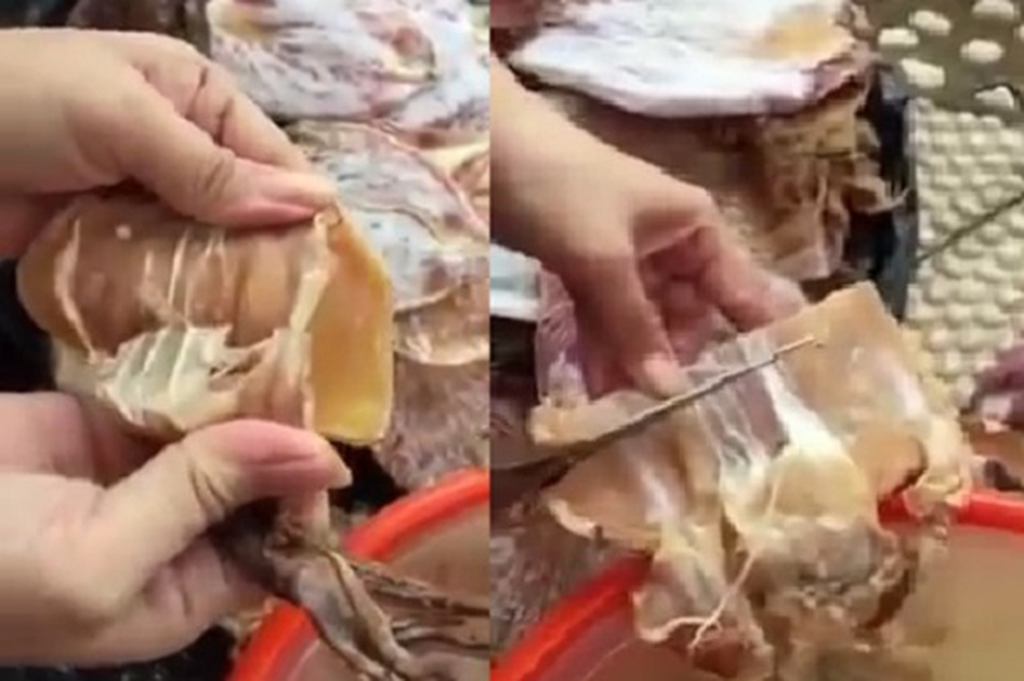 Xôn xao clip mực khô dán bằng keo, xé không đứt