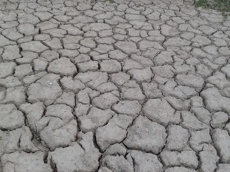 Thanh Hóa: Nông dân khóc ròng vì nắng hạn kéo dài
