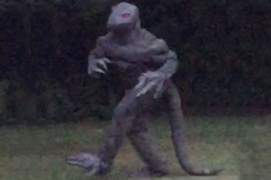 Hoảng hồn phát hiện sinh vật bí ẩn cao 2m giống người thằn lằn ở Mỹ