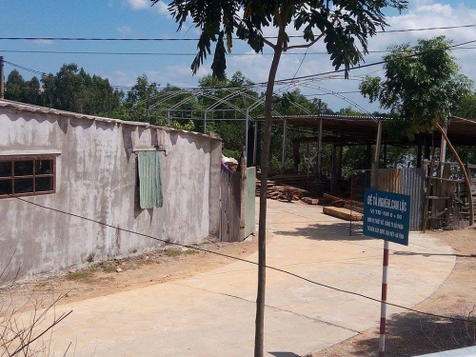 Chuyện chỉ có ở Hà Tĩnh: Xưởng gỗ tư nhân xây giữa lòng đê