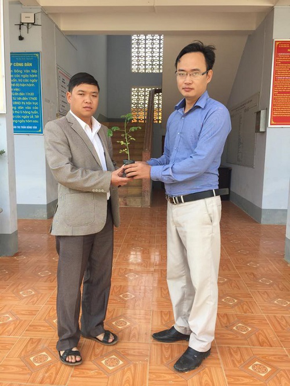 Cây dược liệu chùm ngây đến với vùng cao - Hà Giang